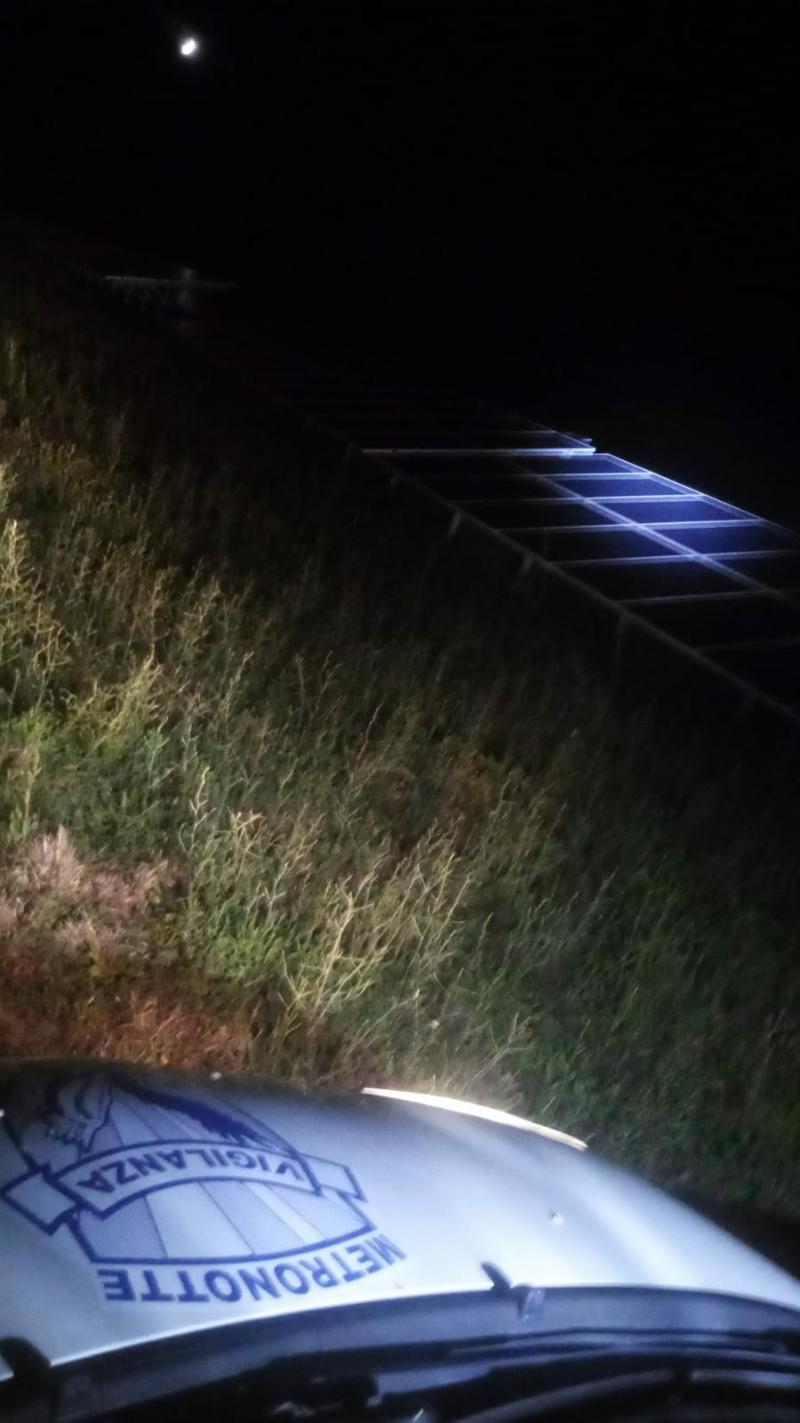 vigilanza campo fotovoltaico METRONOTTE ginosa taranto oria bari brindisi matera potenza gravina bitonto