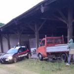 CASTELLANETA (TA) Intervento delle Guardie Giurate e dei Carabinieri - Furto sventato presso Azienda Agricola_nologo