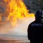 Intervento tempestivo delle Guardie Giurate Metronotte: auto in fiamme spente sulla Statale 106